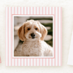 Customized Paperie Classes